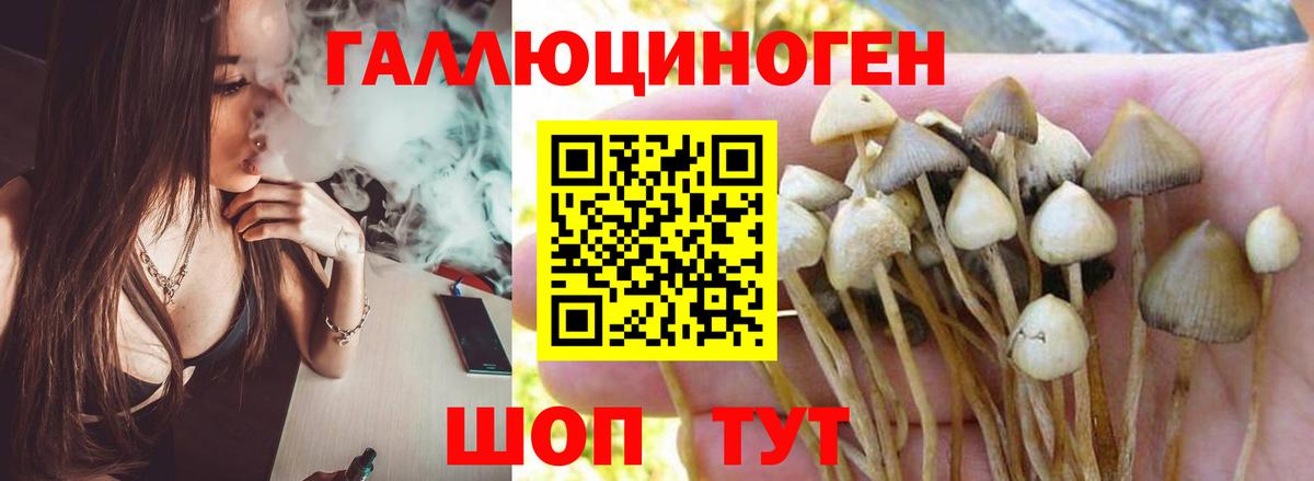 Галлюциногенные грибы Magic Shrooms  Вход с VPN  Тавда 